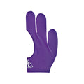Pro Series Reversible Billiard Glove